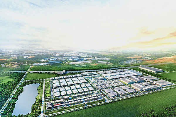 Weifang White Stone Inc.